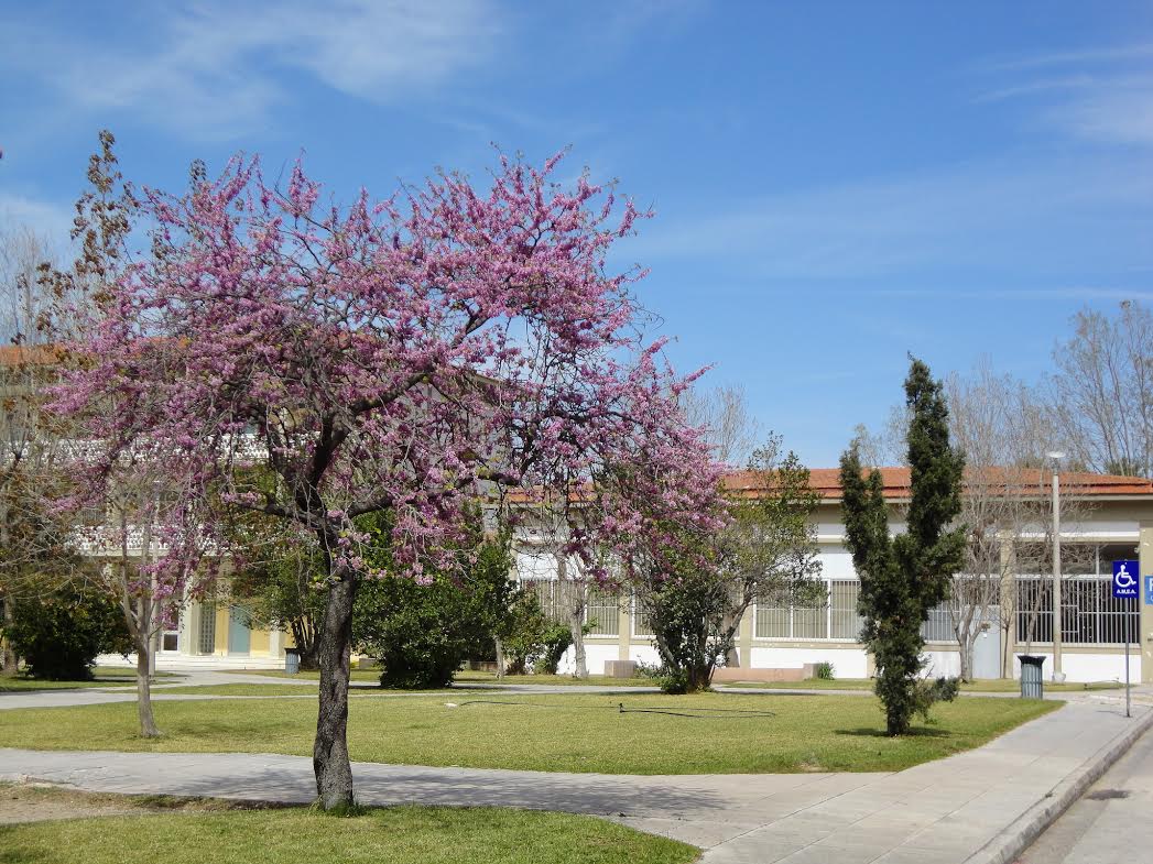 Ημερίδα και νέος ιστότοπος αποφοίτων στα νέα του Πανεπιστημίου Πατρών