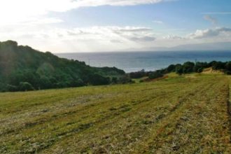 Πάτρα: Ημερίδα για τις κηπευτικές καλλιέργειες και υπό κάλυψη λαχανικών και φρούτων