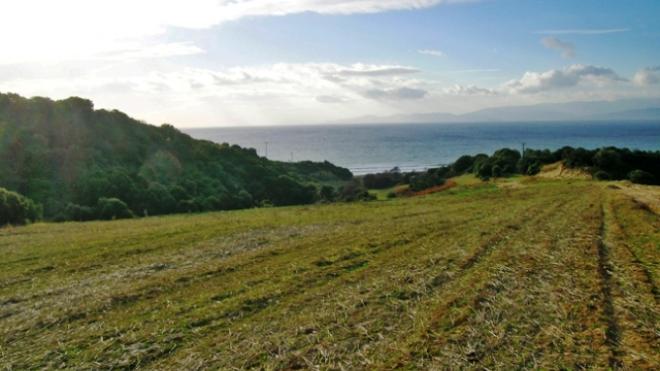 Πάτρα: Ημερίδα για τις κηπευτικές καλλιέργειες και υπό κάλυψη λαχανικών και φρούτων