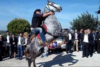 Οι Αλογάρηδες του Λιμνοχωρίου! ΔΕΙΤΕ ΒΙΝΤΕΟ και ΦΩΤΟΓΡΑΦΙΕΣ