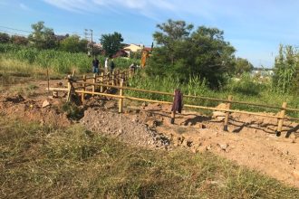 Έργα προστασίας για την αμφίβια ζωή, στο Πλατανόδασος