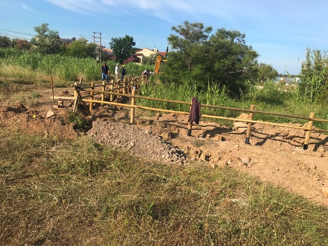 Έργα προστασίας για την αμφίβια ζωή, στο Πλατανόδασος