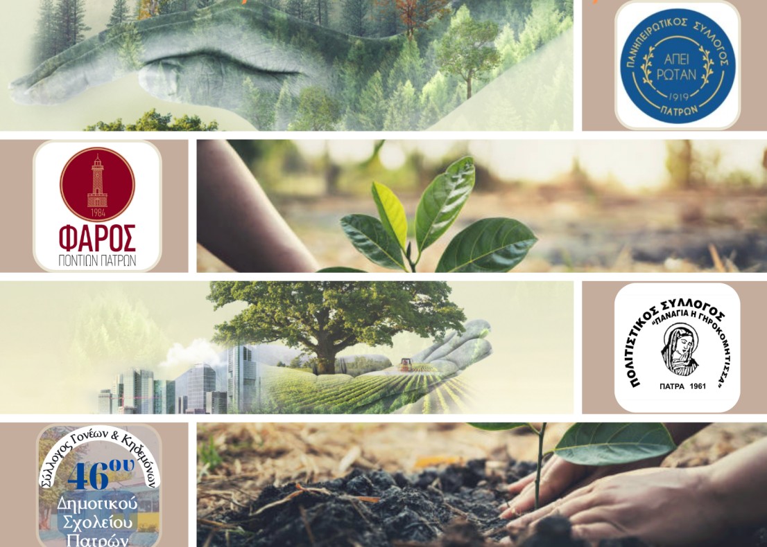 Αναδάσωση στο Αλσύλλιο Γηροκομειού την Κυριακή 11 Δεκεμβρίου