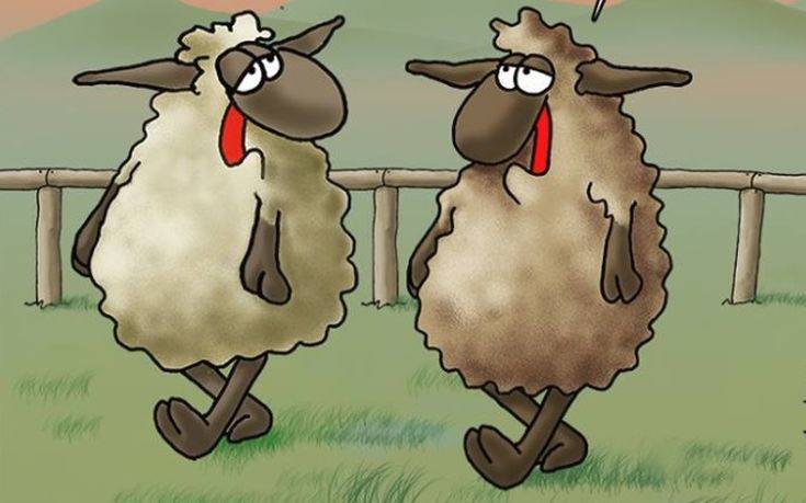 Το σκίτσο του Αρκά για το Πάσχα και το "αργόστροφο" αρνί- ΦΩΤΟ