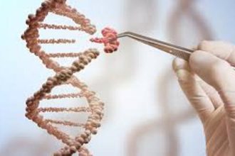 Πάτρα: Αναβάλλεται το Διεθνές Συνέδριο «Γονιδιωματική Αστάθεια στον Καρκίνο»