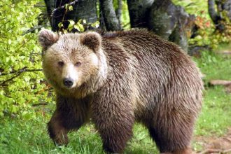 Πάτρα: Προβολή ταινίας στο 10ο Γυμνάσιο