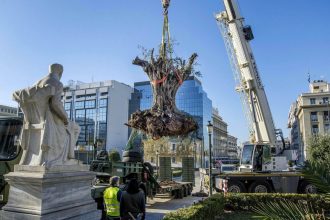 Η φωτογραφία της Πατρινής Άρτεμης Σκούλικα στις 15 καλύτερες για το 2015!