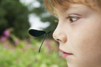 Παιδί και κουνούπια: Εξοντώστε τα με φυσικούς τρόπους