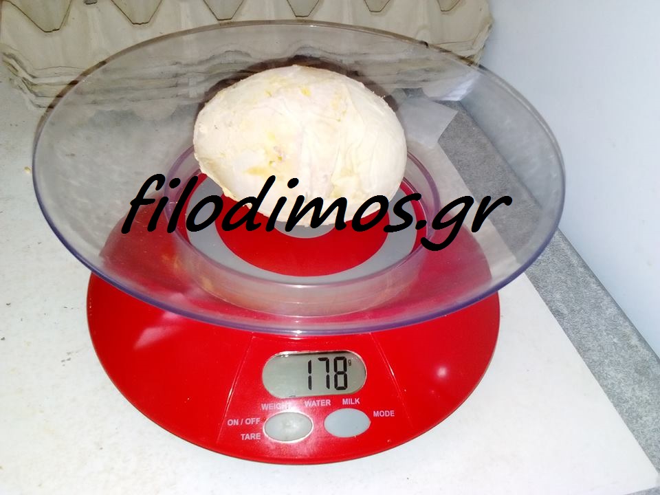 Αιγιάλεια: Η κότα με το πιό...βαρύ αυγό