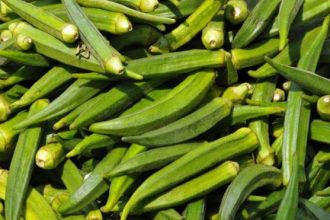 Τα θρεπτικά συστατικά που μας προσφέρουν οι μπάμιες