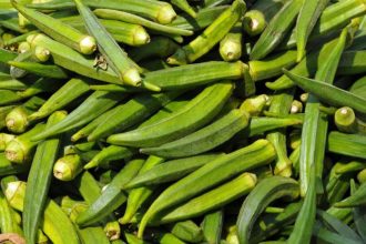 Τα θρεπτικά συστατικά που μας προσφέρουν οι μπάμιες