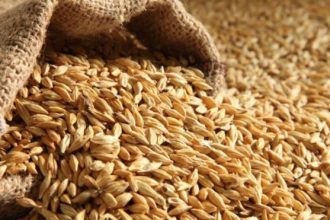 Το κριθάρι "σύμμαχος" στην πρόληψη του διαβήτη