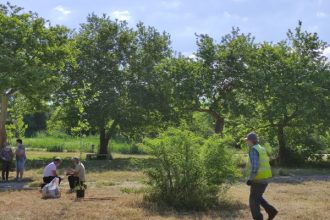 Πάτρα: Δενδροφύτευση στο Πλατανόδασος