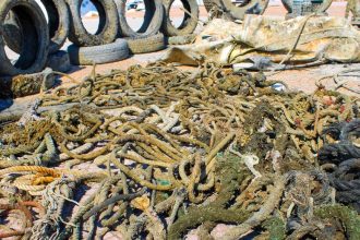 Αχαΐα: Δράση καθαρισμού του βυθού - "Ψάρεψαν" δύο τόνους σκουπίδια! ΦΩΤΟ