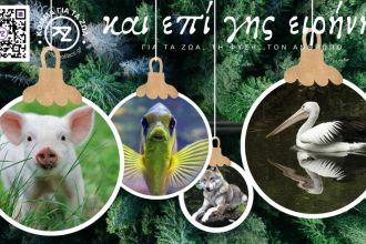 To Κόμμα για τα Ζώα: Ευχές σε αναίμακτο Χριστουγεννιάτικο τραπέζι