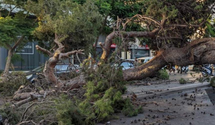 Δυτική Ελλάδα - Τραγωδία: Νεκρός άνδρας που καταπλακώθηκε από δέντρο