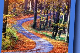 Πάτρα: Παρουσιάζεται το βιβλίο «Οδηγός για την παρέμβαση στην κρίση»