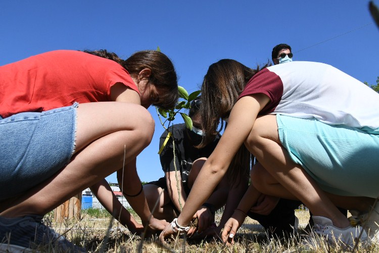 Δεντροφύτευση στο Πάρκο Εκπαιδευτικών Δράσεων, στο πλαίσιο της ενότητας «Δες το Σφαιρικά!»