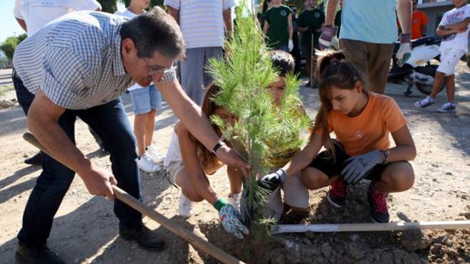 Πάτρα: Δενδροφυτεύσεις αύριο από το Δήμο - Λεωφορεία για τη μετακίνηση πολιτών - ΔΕΙΤΕ ΤΙΣ ΠΕΡΙΟΧΕΣ