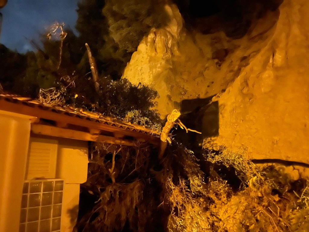 Δένδρο “προσγειώθηκε” πάνω σε σπίτι στο Κατάκολο