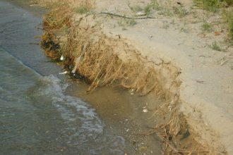 Νέα ενημερωτική ημερίδα από τον φορέα Save coast