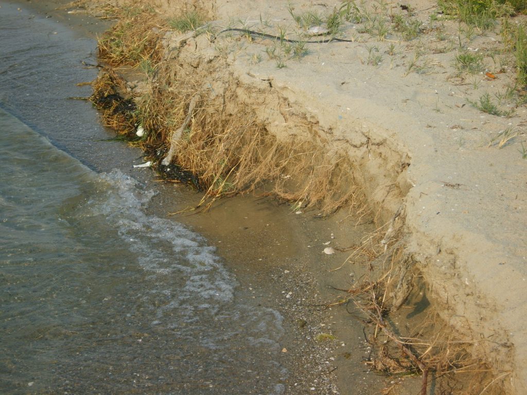 Νέα ενημερωτική ημερίδα από τον φορέα Save coast