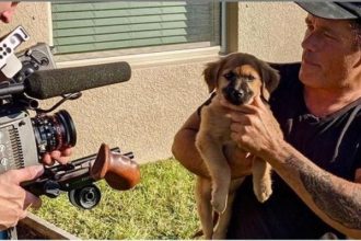 Ένας πιλότος drone διασώζει ζώα σε παγκόσμιες ζώνες καταστροφής!