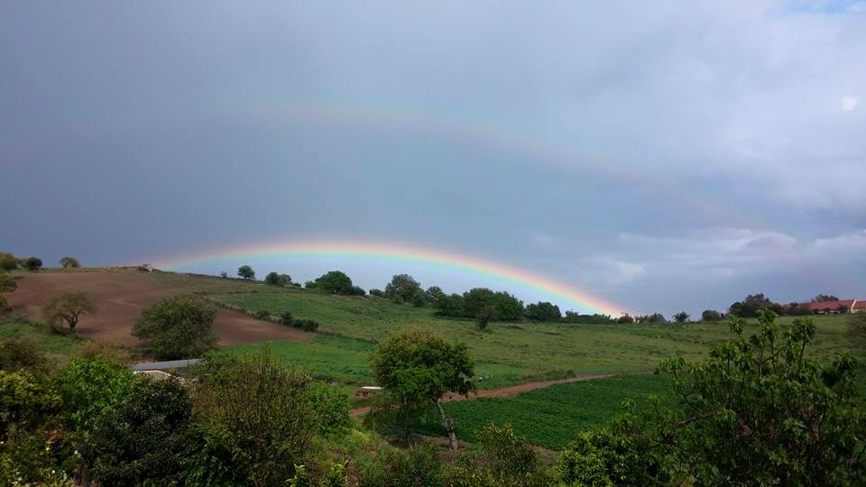 Ένα σπάνιο φυσικό φαινόμενο στην Λακκόπετρα!