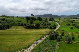 ΑΝΑΒΟΛΗ των δράσεων και εκδηλώσεων του «Δρόμου Ολυμπιακής Εκεχειρίας 2020»