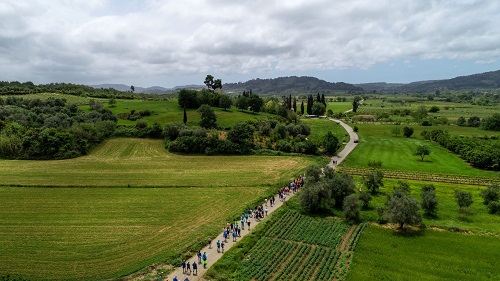 ΑΝΑΒΟΛΗ των δράσεων και εκδηλώσεων του «Δρόμου Ολυμπιακής Εκεχειρίας 2020»