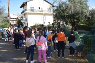 Πάτρα: Μαθητές του 47ου σχολείου μάζεψαν ελιές στην πλατεία Κοσιώνη