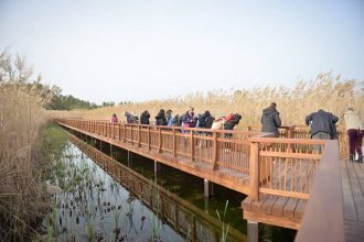 Εκπαιδευτική επίσκεψη στο Οικολογικό Πάρκο του Έλους της Αγυιάς