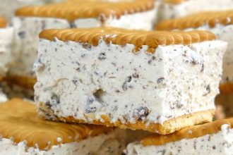 Εύκολο παγωτό σάντουιτς stracciatella!