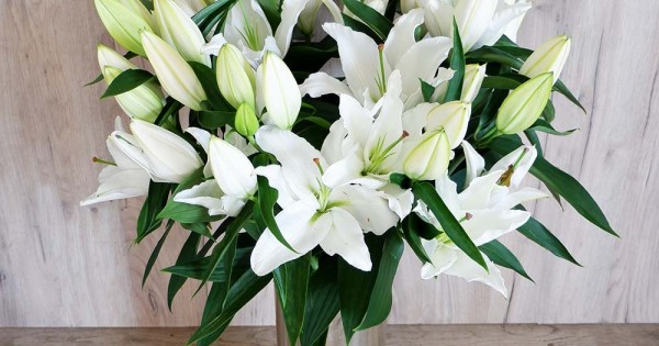 ΣΥΡΙΖΑ Αχαΐας: Συλλυπητήρια για την απώλεια της Τζόγιας Καππάτου