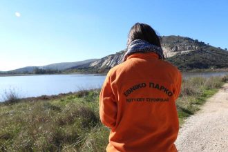 Μεσοχειμωνιάτικες καταμετρήσεις υδρόβιων πουλιών στο Εθνικό Πάρκο Υγροτόπων Κοτυχίου – Στροφυλιάς & στη λίμνη Καϊάφα