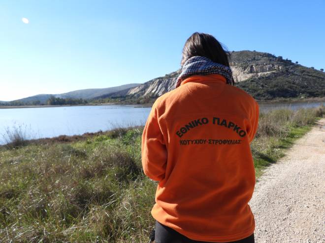 Μεσοχειμωνιάτικες καταμετρήσεις υδρόβιων πουλιών στο Εθνικό Πάρκο Υγροτόπων Κοτυχίου – Στροφυλιάς & στη λίμνη Καϊάφα