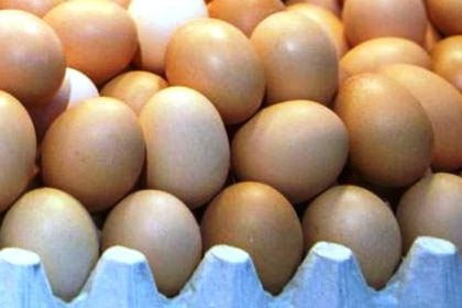 Θωμαΐδης για τις απαγορευμένες ουσίες που εντοπίστηκαν σε αυγά: Υπάρχουν παντού, αν δώσουμε αίμα είναι σχεδόν σίγουρο ότι θα τις εντοπίσουμε!
