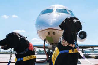 Αυτή η αεροπορική εταιρεία θέλει όλα τα σκυλιά να πετούν στην πρώτη θέση ΒΙΝΤΕΟ