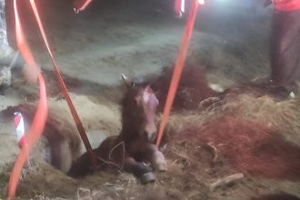 Νυχτερινή επιχείρηση για να σώσουν μικρό άλογο – Είχε πέσει σε φρεάτιο ΦΩΤΟ