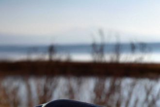 Ψάρι φασί με πράσα στον φούρνο