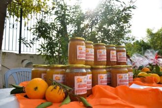 Γιορτή πορτοκαλιού στους Αλισσούς, την Κυριακή 18 Φεβρουαρίου