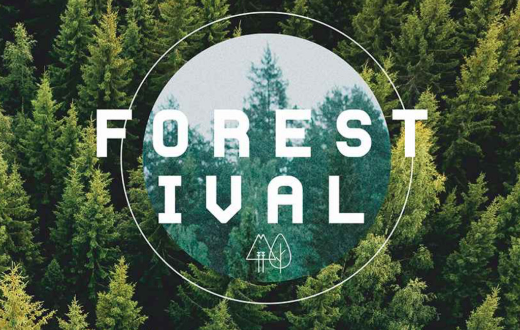 Forestival: Οι ήχοι και οι διαδρομές του δάσους για πρώτη φορά προσβάσιμα και σε ΑμεΑ