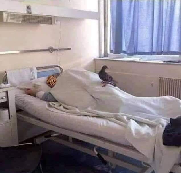 Νοσοκομείο Ρίου: Τον ...επισκέφθηκε περιστέρι