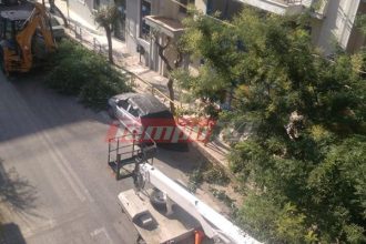 Πάτρα: Κλάδεμα δένδρων ...με το χάραμα ΦΩΤΟ