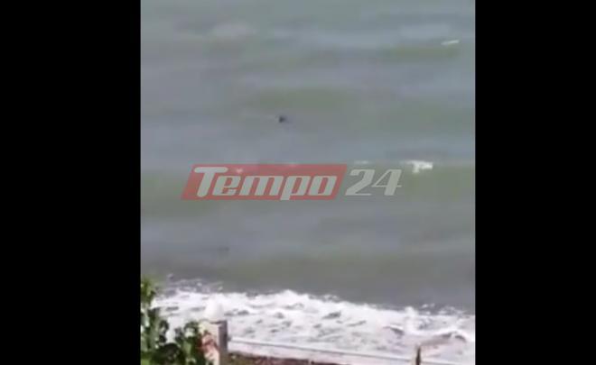 Μια τεράστια θαλάσσια χελώνα "παλεύει" με τη φουρτουνιασμένη θάλασσα σε παραλία της Αχαΐας! - ΔΕΙΤΕ ΒΙΝΤΕΟ