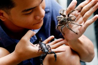 Αν φοβάστε τις αράχνες, μάλλον φταίνε… οι γονείς σας