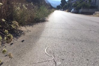 Στο δελτίο του star τα φίδια στην Οβρυά! ΔΕΙΤΕ ΒΙΝΤΕΟ