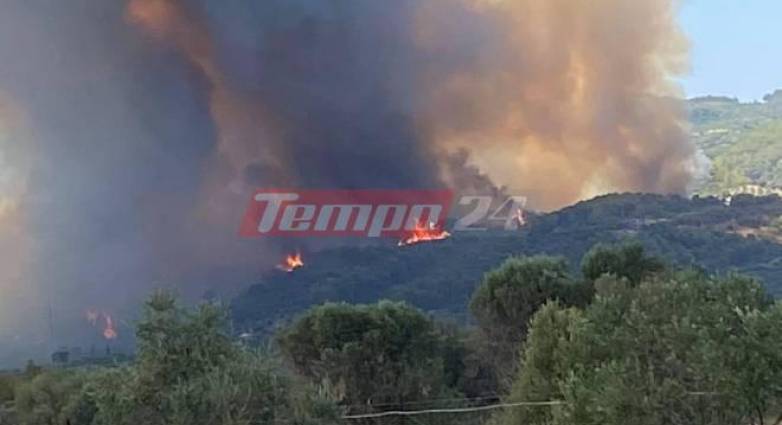 Πάνω από 8.000 στρέμματα έγιναν στάχτη από την πυρκαγιά στην Ηλεία