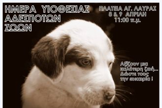 Φιλοζωϊκός Σύλλογος Αιγιαλείας: Διήμερο υιοθέτησης αδέσποτων