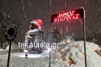 Ισχυρή χιονόπτωση στη Φλώρινα